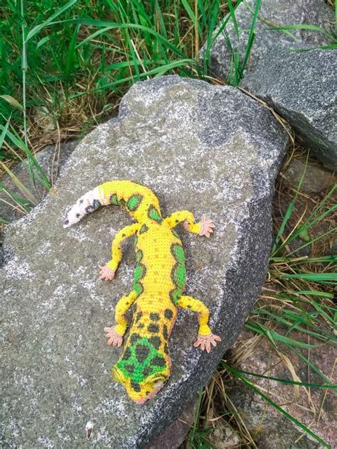 Gecko stuffed toy. Leopard gecko crochet plush. Realistic | Etsy