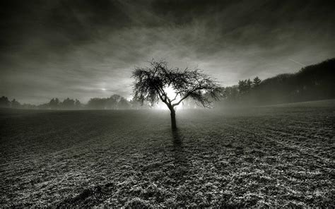 1104373 Sunlight Trees Landscape Mountains Monochrome Dark Night