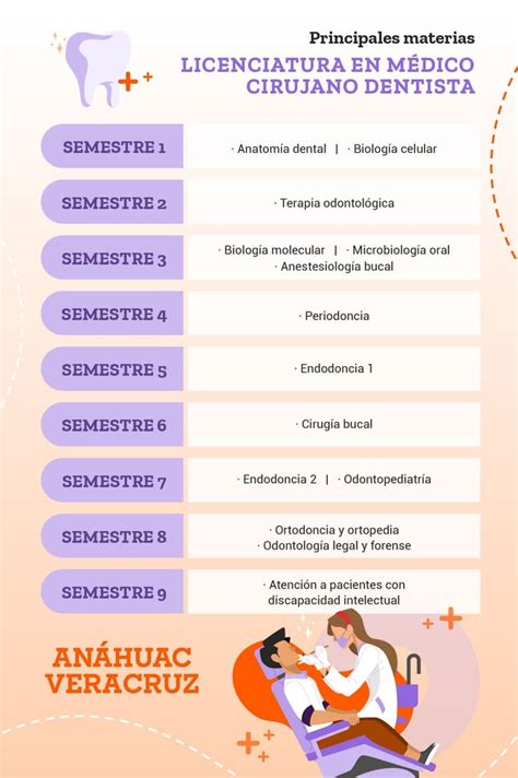 Odontologia Quais As Materias - ¿Qué materias se ven en odontología?