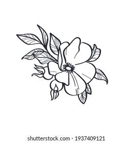 Image Tattoo Flower Line Drawing Stock Illustration 1937409121 | Shutterstock