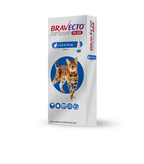 Bravecto® Plus Spot On Solution For Cats Msd Animal Health Hub