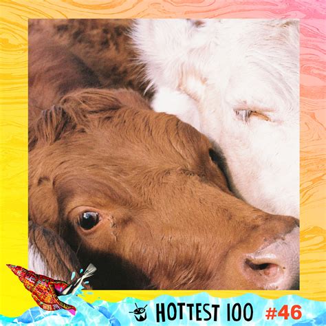 Mallrat - Performing Arts | Facebook - 129 Photos