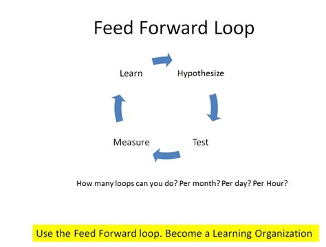 Philaksophy The Feed Forward Loop A Learning Process