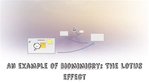 An example of Biomimicry: The Lotus effect by kawthar belkacemi on Prezi