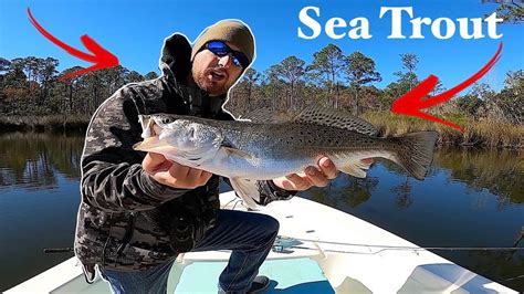 My Favorite Way To Catch Speckled Trout Spotted Sea Trout Youtube