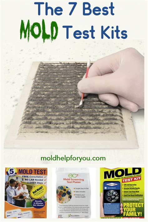 The 7 Best Mold Test Kits | Mold Help For You