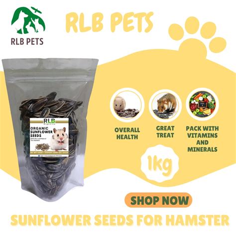 Sunflower Seeds for Hamsters Hamster Treat Striped Sunflower Seed - Raw ...