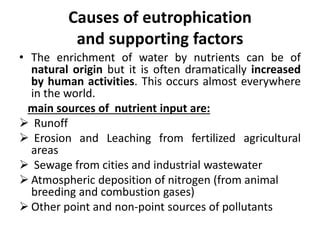 eutrophication  water body pptx