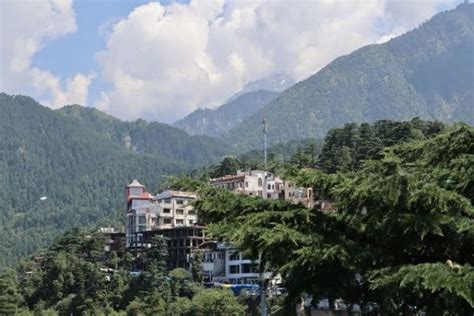 Namgyal Monastery Dharamshala And Mcleodganj What To Expect Timings