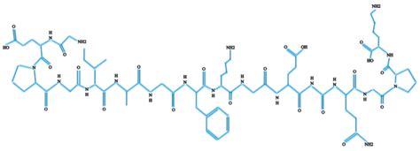 Collageen Type Functies Voordelen Vitamines