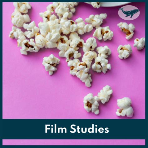 Film Studies – Constellation Learning