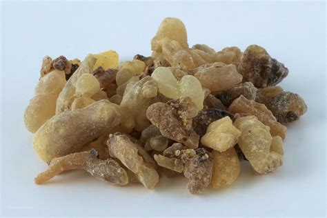 Boswellia carteri Organic Resin : 4oz - Boswellness