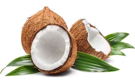 How Long Does A Coconut Last After Opening In 2024 Coconut Tropical