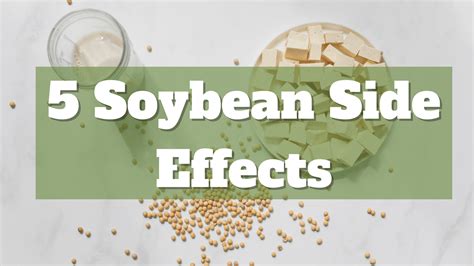 Soybean Side Effects You Must Know - Geek Consumers