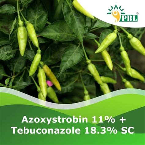 Buy Online Azoxystrobin Tebuconazole W W Sc Peptech