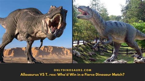 Allosaurus Vs T Rex Who’d Win In A Fierce Dinosaur Match T Rex Fierce Dinosaur Lion