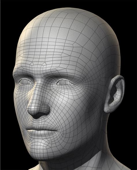 3d Head Realistic Human 100 For 3d Character Creation