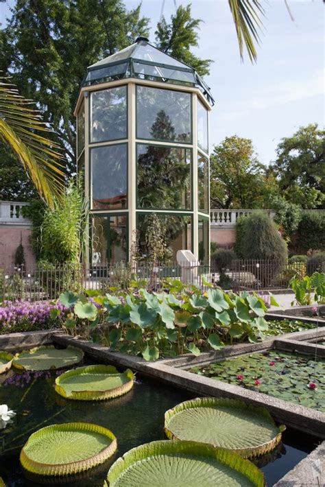 Lorto Botanico Di Padova Il Più Antico Del Mondo Occidentale