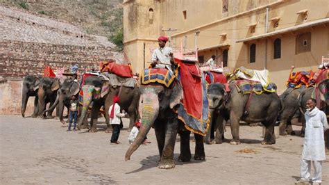 Cultural Heritage Walk Jaipur: Dive Into Tradition