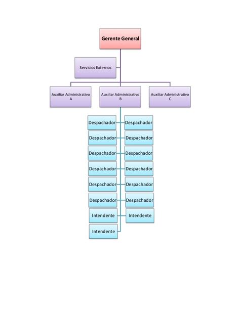 Organigrama De Funciones