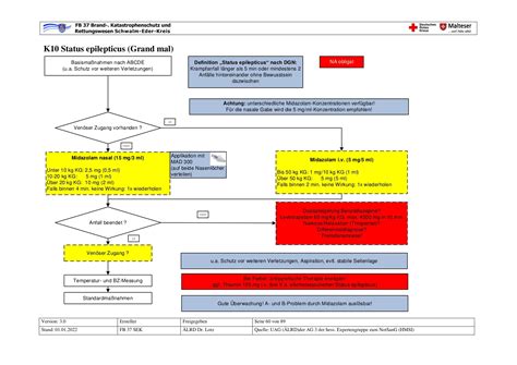 Status Epilepticus Algorithmen SOP EASY