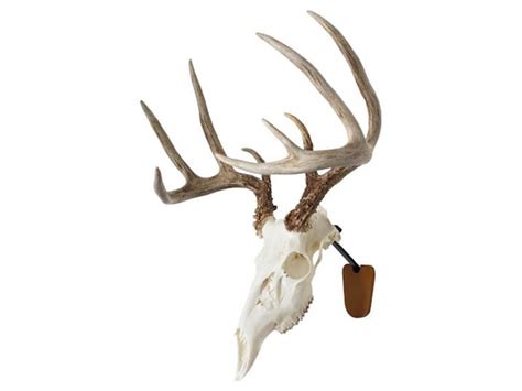 Walnut Hollow Country Euro Skull Deer Mounting Kit