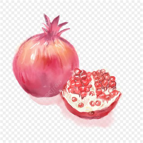 Watercolor Red Pomegranate Illustration Watercolor Pomegranate Fruit