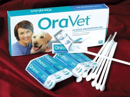 While other products may remove plaque and tartar, OraVet is the first ...