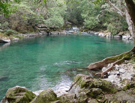 Poza Azul Reserva De La Biosfera El Cielo