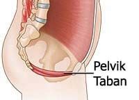 Pelvik Taban Hastalıkları