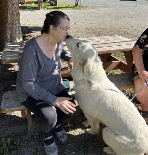 Volunteer — Colville Valley Animal Sanctuary