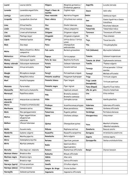 Nombres Científicos De Plantas Mile29 Udocz