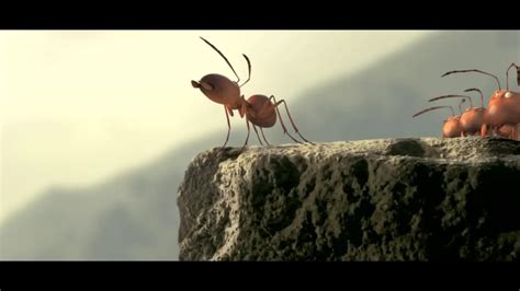 What Makes Ants Movie So Popular?