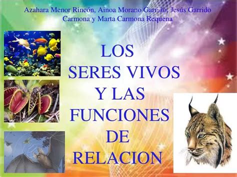 Ppt Funciones Vitales De Los Seres Vivos Powerpoint Presentation 3ab