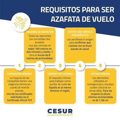 Requisitos Para Ser Azafata De Vuelo Los Cumples Todos Azafata