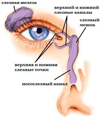 Синдром сухого глаза: симптомы и лечение | Клиника Рассвет