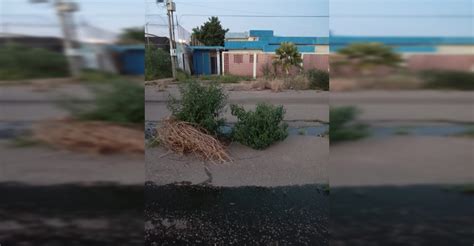 NAM COMUNITARIO En San Miguel Bote De Aguas Residuales Corren Por La