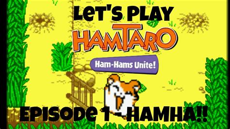 Let S Play Hamtaro Ham Hams Unite Episode Hamha Youtube