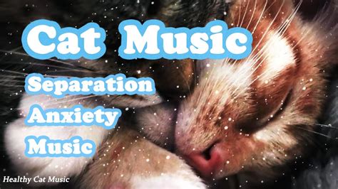 Calming Music For Cats With Anxiety Deep Soothing Music For Anxious