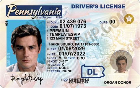 Pennsylvania Pa Drivers License Psd Template Download 2023 Templates Drivers Licenses Premium