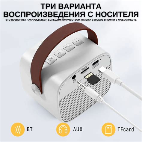 Караоке станция, портативная музыкальная колонка, блютуз динамик ...