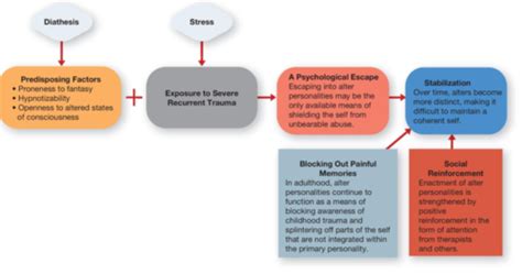 Chapter 6 Dissociative Disorders Somatic Symptom And Related