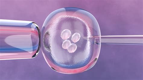 Scientists Created A Human Embryo Without Sperm Or An Egg We Should Be Disgusted—and Worried