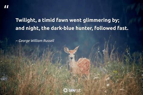 35 Deer Quotes About The Graceful Mammals With Antlers