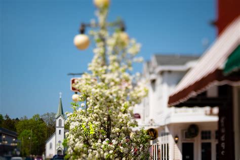 Harbor Springs: The Hidden Gem of Michigan | Someday Today