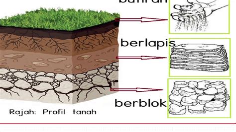 Gambar Profil Tanah 48 Koleksi Gambar