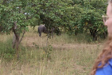 Days Breathtaking Safari In Murchison Falls Queen Elizabeth National