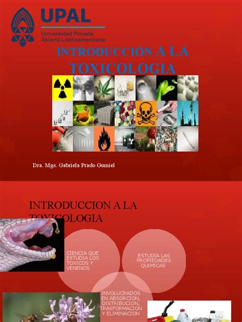 Introducción A Toxicología Pdf Toxicología Toxicidad