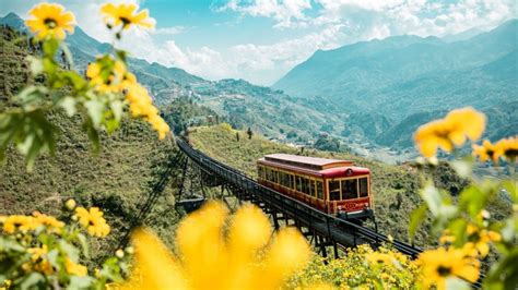 Sapa Weather in July: Plan Your Exciting Summer Getaway