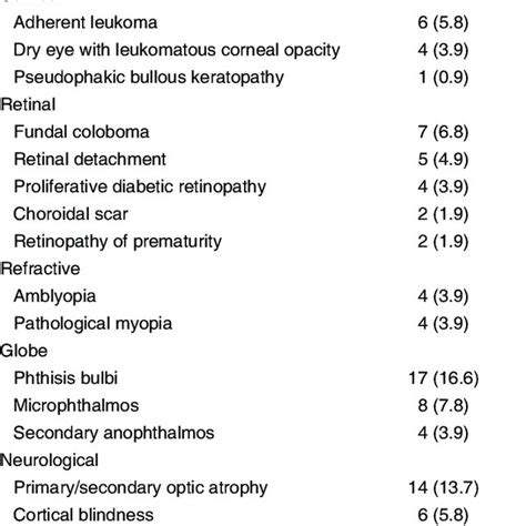 Causes Of Visual Deprivation In 102 Eyes Of 51 Persons With Visual Download Table